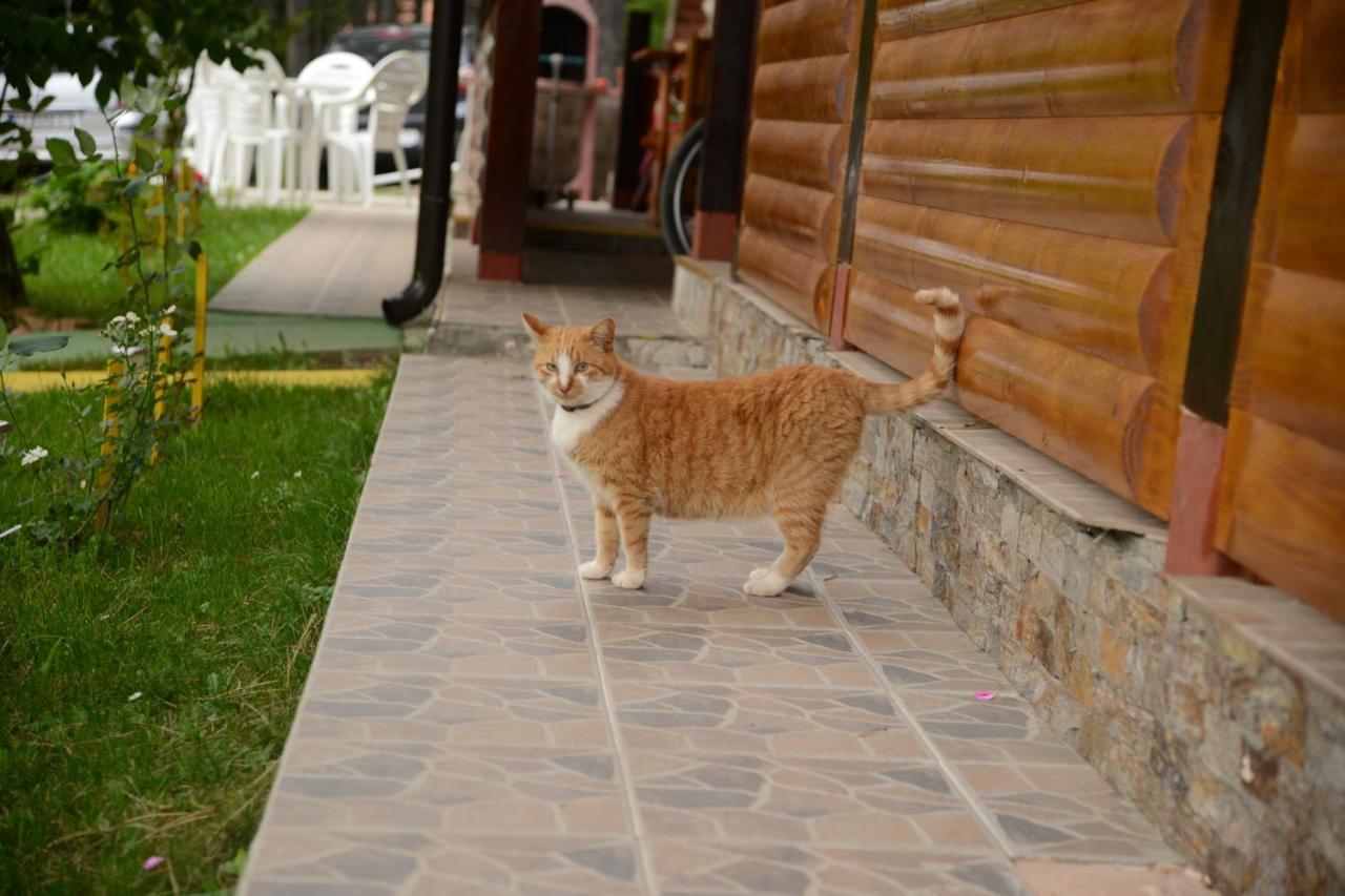 Villa Ruza Apartments Zlatibor Exterior foto